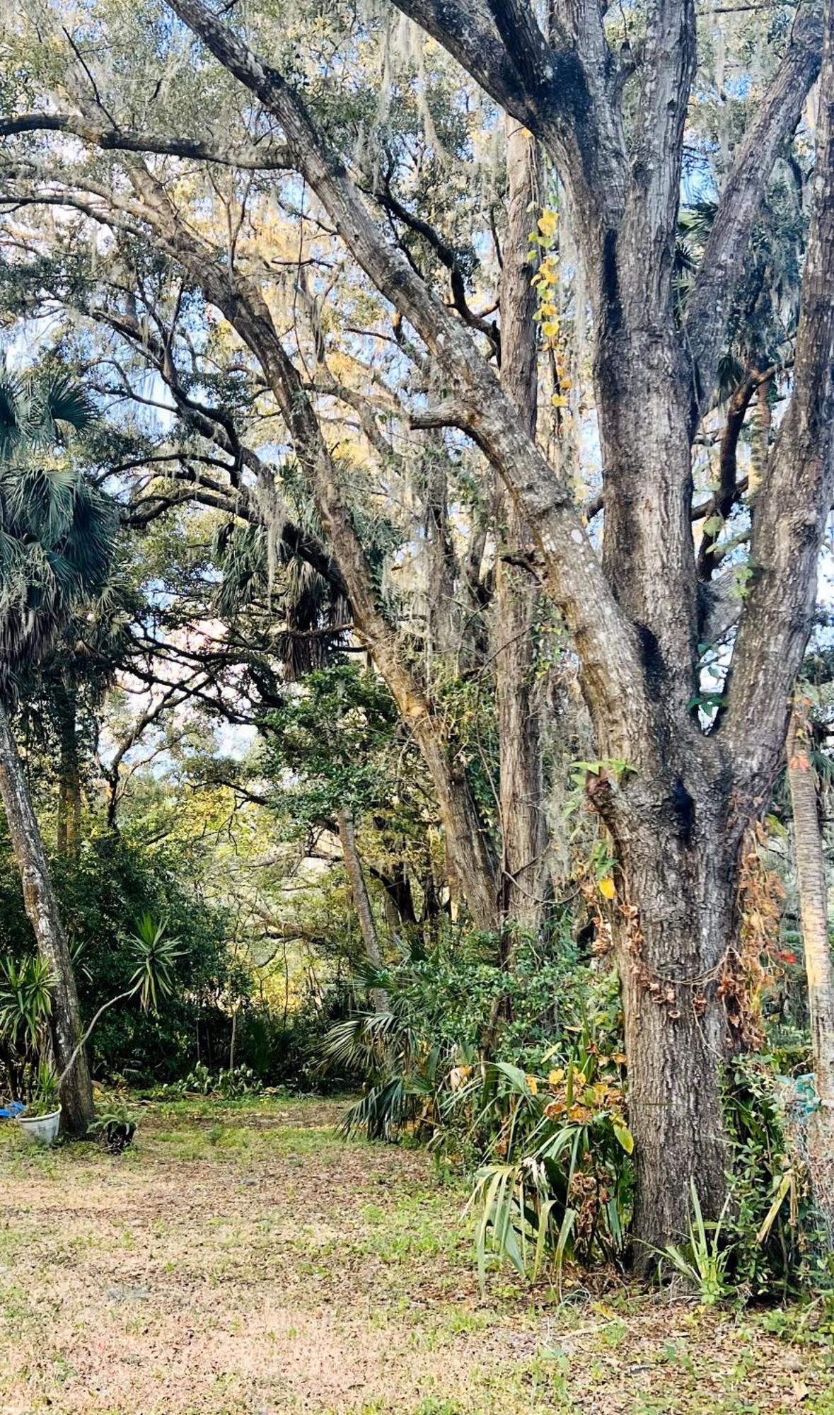 Country Welcome Micanopy Exterior foto